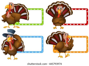 Pavos con fondo de etiqueta en blanco