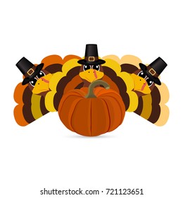 Turkeys cartoon with pumpkins 