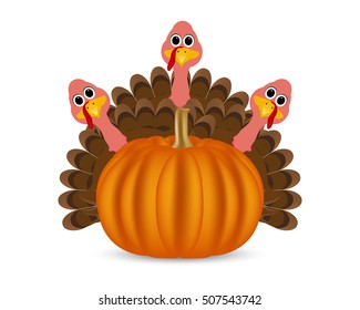 Turkeys cartoon with pumpkins on the feast day of thanksgiving