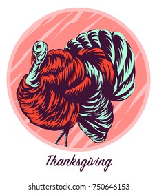 Turkeys vector illustration