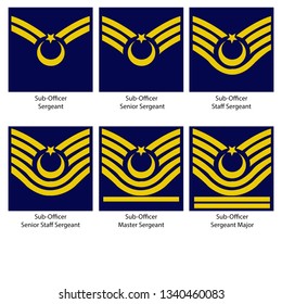 Turkish Air Force Nco Insignias Stock Vector (Royalty Free) 1340460083 ...