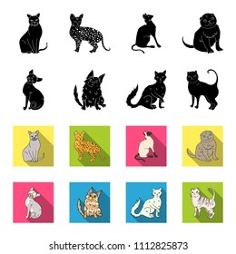 Turkish Angora, British longhair and other species. Cat breeds set collection icons in black,flet style vector symbol stock illustration web.