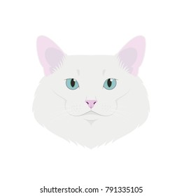 Turkish Angora Cat Isolated On White Background Vector Illustration