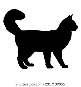 Turkish Angora cat silhouette cat breeds vector