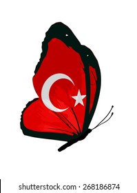 Turkish flag butterfly - vector