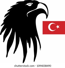 Turkish flag and eagle head graphic design vector art