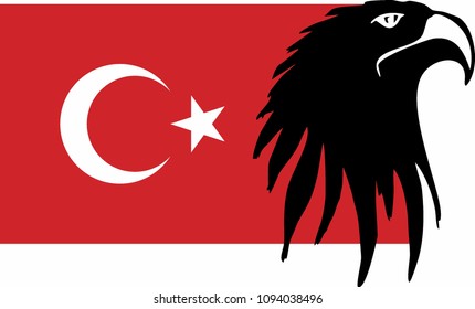 Turkish flag and eagle head graphic design vector art