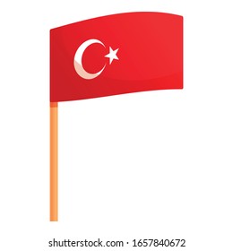 Turkish flag icon. Cartoon of turkish flag vector icon for web design isolated on white background