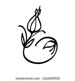 Turkish tulip. A hand-drawn flower. Symbol. Logo. Vector doodle illustration.