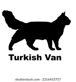 Turkish Van cat silhouette. Cat breeds vector. Pet. Animal