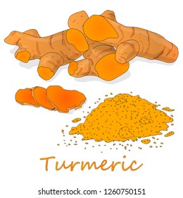 Turmeric (Curcuma longa Linn) powder and root on white background vector illustration.