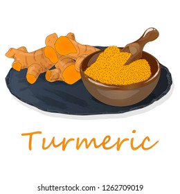 Turmeric (Curcuma longa Linn) set on plate. White background vector illustration.