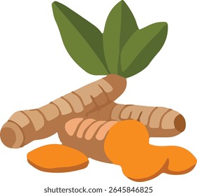 Curcuma (Curcuma longa) ilustração vetorial com folhas e fatias. Ícone de design plano de uma raiz fresca, um tempero saudável e ingrediente de ervas. Isolado sobre fundo branco