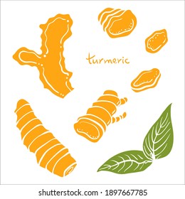 Turmeric, curcuma. Roots and slices. Colorful sketch collection of herbs and spices isolated on white background. Doodle hand drawn healthy food icons. Vector illustration