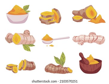 Turmeric or curcuma spice icons or symbols. Turmeric herbal medicine and food ingredient in root and powder, flat vector illustration isolated on white background.