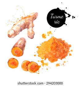 Turmeric. Hand drawn watercolor painting on white background. Vector illustration