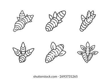 Ilustración vectorial de arte de línea de icono de cúrcuma