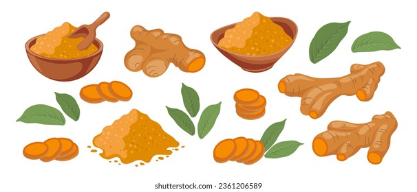 Turmeric icons set. Dry turmeric powder, turmeric roots, slices and flowers. Herbs and spices. Curcumin. Botanical illustration, vector