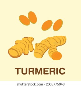 Turmeric logo. Isolated turmeric.  (Curcuma longa Linn) roots vector illustration. 