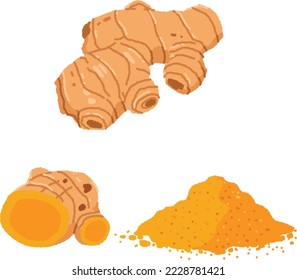 Turmeric is a plant of the genus Curcuma belonging to the ginger family, which is native to East India. It is widely distributed as a coloring agent, spice, and herbal medicine.