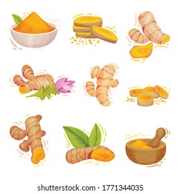 Turmeric Plant with Root and Powder in Bowl Vector Set