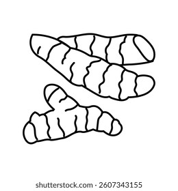 turmeric root ayurvedic herb line icon vector. turmeric root ayurvedic herb sign. isolated contour symbol black illustration
