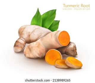 Turmeric root. Eastern spice. Vector illustration.