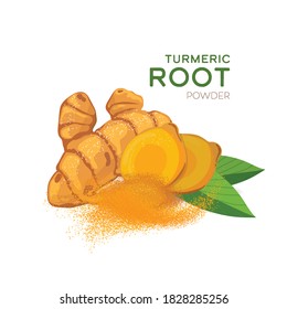 Turmeric root with green leaves isolated on white background vector illustration