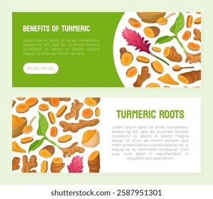 Turmeric Root Nature Spice and Plant Banner Design Vector Template