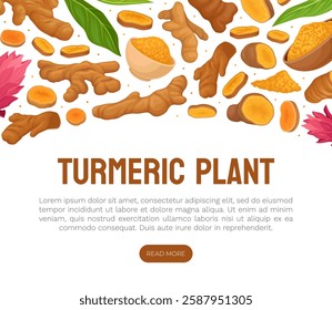 Turmeric Root Nature Spice and Plant Banner Design Vector Template