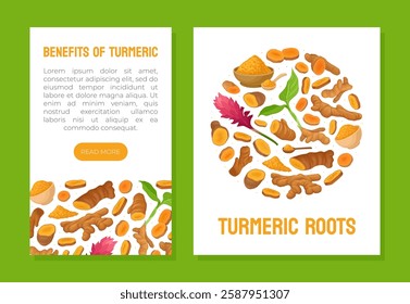 Turmeric Root Nature Spice and Plant Banner Design Vector Template