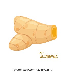 Raíz de cúrcuma en un fondo blanco. Especias. Diseño de caricaturas.
