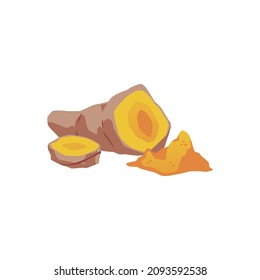 Turmeric root and orange curcuma powder vector illustration for package design. Tumeric sliced and cut root, realistic drawing.