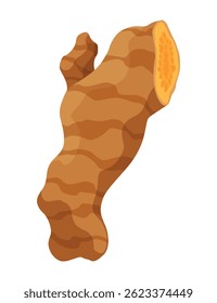 Turmeric root plant, icon. Natural flavor, herbal spice, hand drawn sketch illustration. Detox food ingredient. Vector illustration isolated on white background