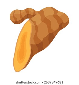 Turmeric root plant, icon. Natural flavor, herbal spice, hand drawn sketch illustration. Detox food ingredient. Vector illustration isolated on white background