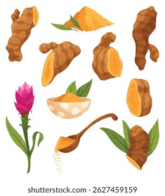 Turmeric root plant, icon set. Natural flavor, herbal spice, hand drawn sketch illustration. Detox food ingredient. Vector illustration isolated on white background.