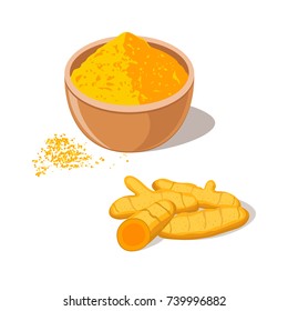 Turmeric root with powder in bowl. Curcuma spice. Curcumin isolated on white background. Vector illustration flat design