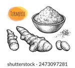 Turmeric root and powder. Hand drawn ink sketch set isolated. Vintage style.