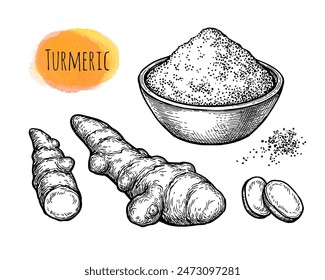 Turmeric root and powder. Hand drawn ink sketch set isolated. Vintage style.