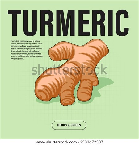 Turmeric Root Premium Vector Clipart High-Quality Illustration for Cooking Branding and Packaging