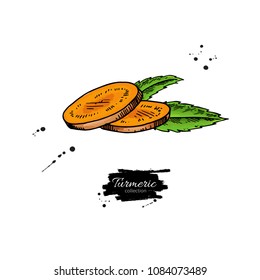 Turmeric root sliced pieces. Vector hand drawn illustration. Curcuma flavor with leaves. Herbal spice drawing. Detox food ingredient.