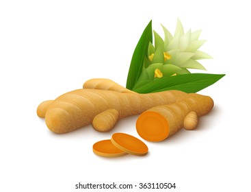 Turmeric root with slices, leaves and flower isolated on white background. Realistic vector illustration.
