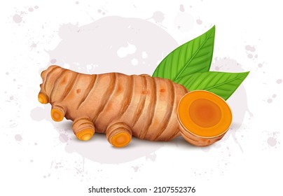 Turmeric root vector illustration with half piece of turmeric root and green leaves