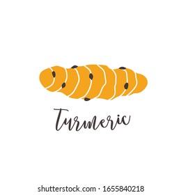 Turmeric root vegetable hand drawn illustration isolated on white background