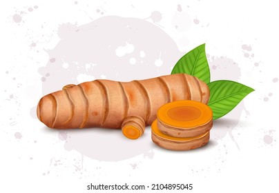 Turmeric root vegetables vector illustration with round slices of turmeric vegetable
