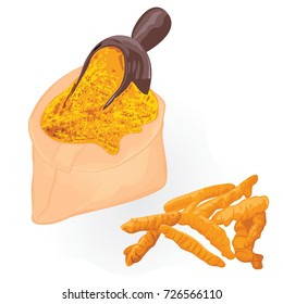 Turmeric roots and powder in a bag on a white background vector illustration