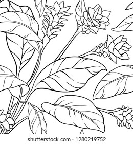 turmeric seamless pattern on white background