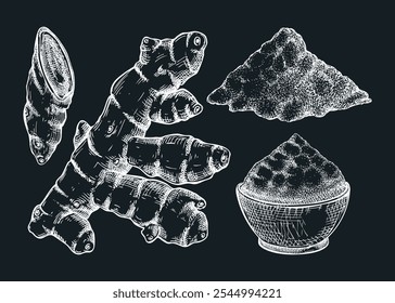 Kurkuma-Skizzen eingestellt. Kurkuma-Gewürzzeichnung auf Kreidetafel. Indische Kräuter und Gewürze, handgezeichnet, Vektorgrafik. KEINE AI generiert