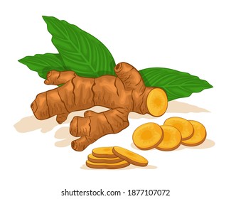 Turmeric vector design with green leaf. Healthy food and kitchen herbal spice