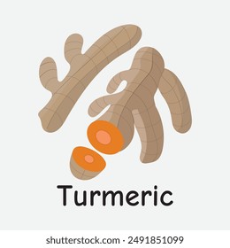 Turmeric Vector Illustration for Herbal Medicine